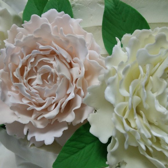 Meet your Posher, Kate - Picture 8 of 11